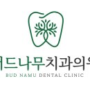 버드나무치과의원 이미지