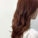 강릉컬러헤어