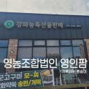 [영농조합법인 영인팜] 강화도 농특산물 판매점 해풍고구마 강화쑥뜸 추천