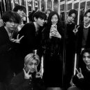 태형수지 이미지