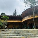 지에스25더사파향기점 | 베트남 사파 날씨 하노이에서 슬리핑버스 탑승 날씨 요정 후기