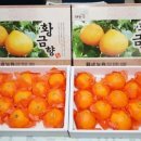 소성농장 이미지