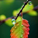 지혜병원 이미지