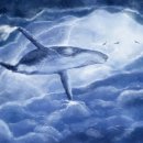 토마토 / 조인선 이미지