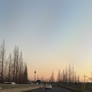 레오 | 평택험브리스맛집 아오리의 행방불명 레오 라멘 후기