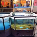 태평양 실내포장 이미지