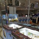 테마폴리스 이미지