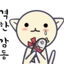 오아시스모터스