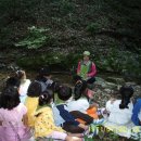 동초병설유치원 이미지