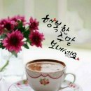달달한하루 Daum카페