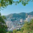 괴정2동-9 이미지