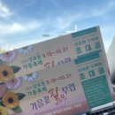 땡겨김밥 - 서귀포시 효돈로 181 | 땡겨김밥