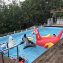 영월민박 서강1805 이미지