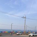 파티25 | 제주도게스트하우스파티 어울림25 방문 후기