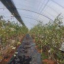 현제농장 이미지