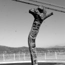 탑정호휴양마을 이미지