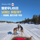 비앤비피시카페 | [캐나다 오로라여행 #2] 옐로우나이프 낮에는 뭐 할까? 개썰매부터 올드타운 맛집까지(Bullocks bistro...