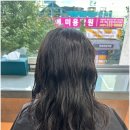 스펀지충장로