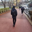 연세대독수리산악대 292차는 번개팅으로 올림픽공원 석촌호수 트레킹 -2025년3월31일(월)-대중교통 트레킹코스 이미지