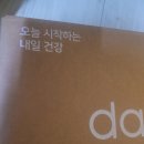 면역력의 창조 | "내 장 건강, 한 번에 OK! 데이즈온 프리바이오틱스 올인원 유산균"