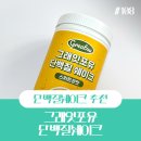 단백질쉐이크추천 아침대용으로도 좋은 그래잇포유