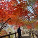 도봉산길점 | 도봉산 등산코스 후기｜만월암~Y계곡~신선대~천축사 (2025년 10월 30일)