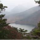 산막이옛길 주차장 Daum카페