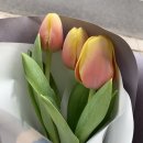 차갑고 무거운 것들은 버려요