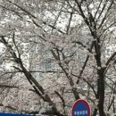 덕풍천동로 이미지