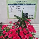 오리랜드 | 가평 문교오리랜드 오리구이 솔직후기 | 아침고요동물원 5분 거리 가족맛집 추천