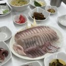 여수 선어회 조일식당