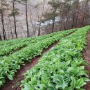 산골농장 이미지