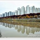 송정동-13 이미지