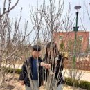 송정(남천) | 울산 숲(송정 구간) 헌수 나무심기 행사 후기-3탄