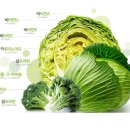 해동힐링안마원 이미지