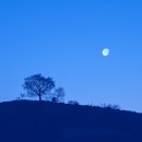 블루(Blue) 이미지