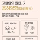 양항 네이버블로그