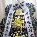 꽃파는사람들 이미지