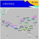 통나무Ⅱ 이미지