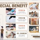 양동시장작은도서관 이미지