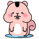 그믐달셀프스튜디오분당