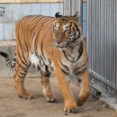 달성공원 이미지