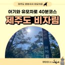 제주도 비자림 입장료 소요시간 유모차 편한코스