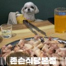 대구 삼덕동 애견동반식당 흑돼지 찐맛집 | 존슨식당본점 내돈내산