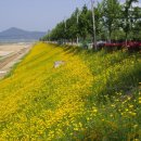 피어나공주 Daum카페