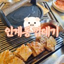 먹고갈까? 싸갈까? | 인계동껍데기 수원 인계본점 다시 먹으러 갈까 말까?