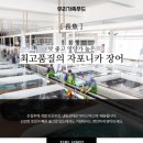 제일아이스냉동 이미지