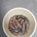최가네민박