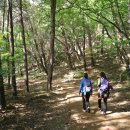 한국관광공사 추천! 가볼만한 곳(만추여행) 이미지