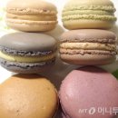 마카롱과의 달콤한 데이트 이미지